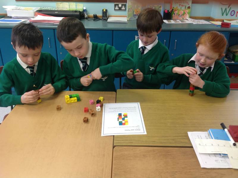 Primary 3 Investigate 